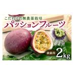 果物類 2027年 発送 こだわりの無農薬栽培