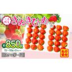 ふるさと納税 いちご 香川県 三木町 2026年発送分 先行受付 苺音スタンダード〜春の大粒のさぬきひめいちご〜 約850g | スイーツ いちご イチゴ ストロベリ…