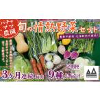 セット 詰合せ 3ヶ月連続お届け 農園自慢の情熱野菜セット …