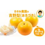 ふるさと納税 梨 熊本県 氷川町 きのみ農園の吉野梨(あきづき) 約3kg 熊本県氷川町産 きのみ農園《8月中旬-9月上旬頃出荷》