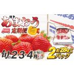 ふるさと納税 いちご 福岡県 福津市 2026年2〜4月 博多あまおう2パック3回定期便 約560g×3回 G5352a