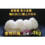 新登場の高級米 令和7年産 金色の風 玄米1kg