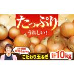 ショッピングふるさと納税 玉ねぎ ふるさと納税 野菜類 玉ねぎ 佐賀県 白石町  2026年5月下旬以降発送 農家直送 玉葱農家のこだわり玉ねぎ 約10kg 玉葱農家 陣内ちひろ 玉葱 タマネギ たまねぎ …