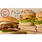 牛肉 ハンバーグ 土佐和牛&四万十ポーク合い挽きハンバーガ…