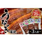 穴子 鱧 うなぎ蒲焼 中 3人前