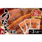 穴子 鱧 うなぎ蒲焼 大 3人前