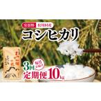 ふるさと納税 長野県 松川村 【3ヶ月連続お届け】安曇野松川村産コシヒカリ10kg | 定期便 定期 3回 米 白米 精米 コシヒカリ こしひかり お米 おこめ 長野県 …