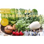 fu.... налог комплект *... Nagano префектура ... блок ..beji сельское хозяйство место. сезон. овощи набор комплект [IV-101]