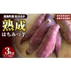 野菜類 サツマイモ 〉和喜雄さんといつみさんのはちみつ芋 …