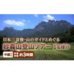 体験チケット 日本三奇勝 山のガイドとめぐる妙義山登山ツ…