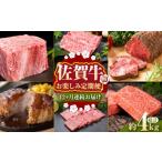 牛肉 モモ 全12回定期便 毎月お届け 佐賀牛