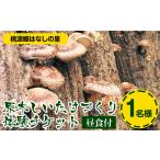 体験チケット 7. 原木しいたけづくり体験チケット