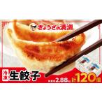 ふるさと納税 惣菜・レトルト 冷凍 埼玉県 坂戸市 冷凍生餃子10パック(120個) ぎょうざの満洲 1238201