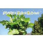 野菜類 はぜのクレソンと里山の恵みセット