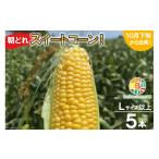 とうもろこし CF110 朝どれスイートコーン