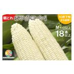 とうもろこし CF112 幻の朝どれホワイトコーン