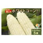 とうもろこし CF113 幻の朝どれホワイトコーン