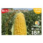とうもろこし CF109 朝どれスイートコーン