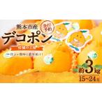 ふるさと納税 みかん・柑橘類 デコポン 熊本県 熊本市 デコポン 約3kg (15〜24玉) 果物 くだもの フルーツ 柑橘 2026年2月下旬〜3月下旬迄順次発送予定