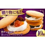 焼菓子 チョコレート お菓子 杏とラムレーズンサンド 10個…