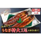 うなぎ 定期便2回 特上うなぎのかば焼き 約250g