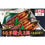 うなぎ 定期便2回 特上うなぎのかば焼き 約250g