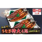 うなぎ 定期便2回 特上うなぎのかば焼き 約250g