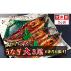 うなぎ 定期便2回 特上うなぎのかば焼き 約200g