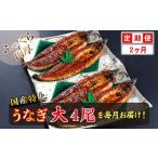 うなぎ 定期便2回 特上うなぎのかば焼き 約200g