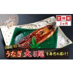うなぎ 定期便2回 特上うなぎのかば焼き 約200g