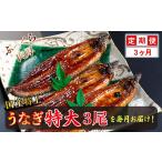うなぎ 定期便3回 特上うなぎのかば焼き 約250g