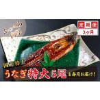 うなぎ 定期便3回 特上うなぎのかば焼き 約250g