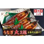 うなぎ 定期便3回 特上うなぎのかば焼き 約200g