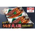 うなぎ 定期便3回 特上うなぎのかば焼き 約200g