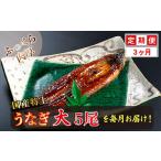 うなぎ 定期便3回 特上うなぎのかば焼き 約200g