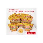 ふるさと納税 菓子 スナック 茨城県 古河市 ヤマザキビスケット『エアリアル』濃厚チェダーチーズ味(12袋×2ケース) | 菓子 お菓子 スナック エアリアル お…