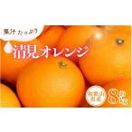 果物類 みかん 清見オレンジ約8kg 果実サイズおまかせ