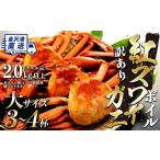 ふるさと納税 カニ ずわいガニ 石川県 金沢市 先行予約 訳あり 金沢 直送 ボイル紅ズワイガニ大サイズ3〜4杯セット 紅ずわいがに ズワイガニ 蟹 カニ かに リ…