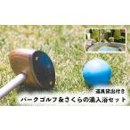 体験チケット 03524 パークゴルフ 道具貸出付き