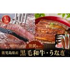 うなぎ 産黒毛和牛A5等級サーロイン4枚