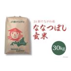 ふるさと納税 玄米 北海道 砂川市 米 新米 令和7年 ななつぼし 玄米 30kg JA新すながわ 北海道 砂川市 12260852 令和7年産 お米 農協