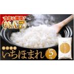 ふるさと納税 米 福井県 越前町 特A通算7回 令和6年産 お米 いちほまれ 5kg 福井県産 米 コメ kome 5キロ 精米 白米 e27-a033_r06