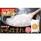 ふるさと納税 米 福井県 越前町 特A通算7回 令和6年産 お米 いちほまれ 10kg 福井県産 米 コメ kome 10キロ 精米 白米 e27-b014_r06
