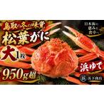 カニ 松葉ガニ 53M. 浜下商店 松葉ガニ大1枚