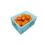 ふるさと納税 みかん・柑橘類 鹿児島県 瀬戸内町  2027年発送分 先行受付 たんかん ご家庭用バラ詰め3kg たけはら農園 たんかん, 南国フルーツ, 柑橘類, 果物…