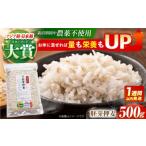 雑穀 スピード発送 栽培期間中農薬不使用