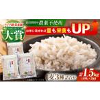 雑穀 スピード発送 栽培期間中農薬不使用