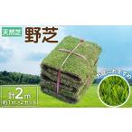 花 苗木 天然芝 野芝 2平米 芝 芝生 天然 DIY