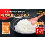 無洗米 米 5kg