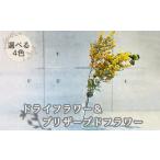 花 苗木 お色 ドライ&プリザーブドフラワー:A085-005